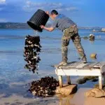 OceanTrash