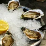Oysters