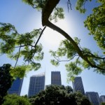 Green city