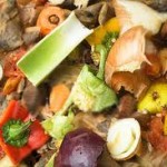 food-waste