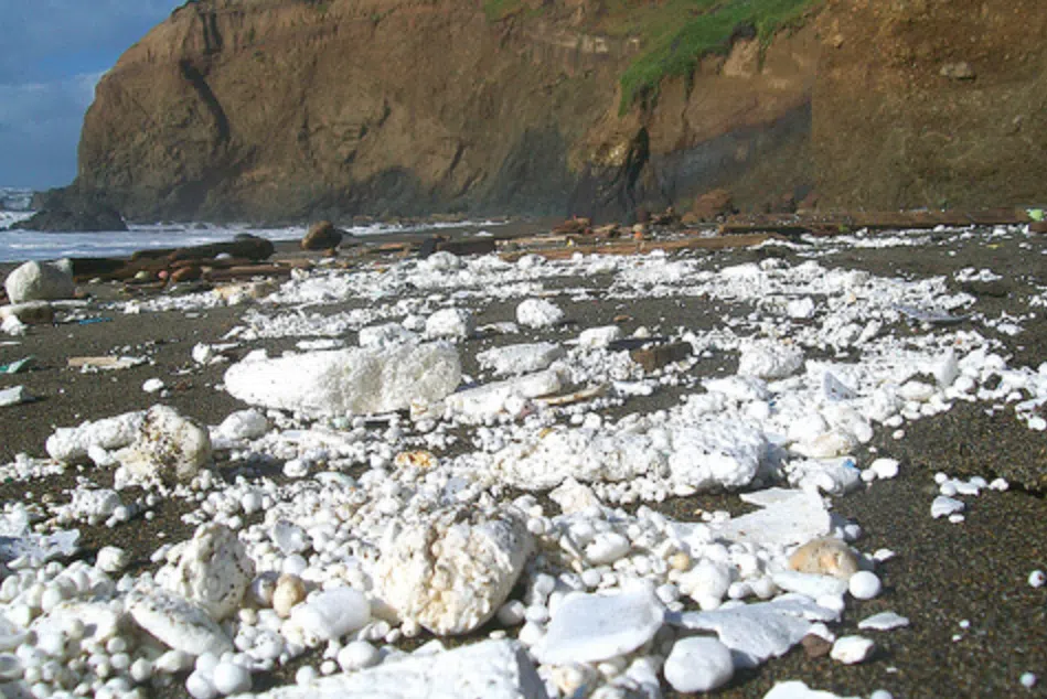 Environmental Impact of Styrofoam Cups - Beach Pollution